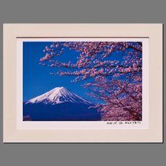 Item thumbnail for item ccc1bdea-d4c0-4b84-a7ef-2db95673076b