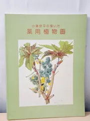 2026年最新】小磯良平の描いた薬用植物画の人気アイテム - メルカリ