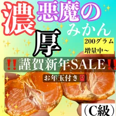 悪魔の木生り完熟みかん　C級　1キロ