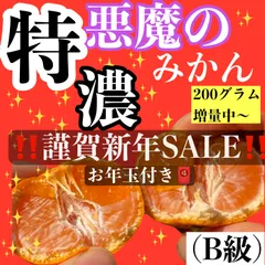 悪魔の木生り完熟みかん　B級　2キロ