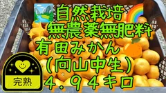 【完熟】自然栽培 無農薬無肥料 有田みかん🍊(向山中生)４.９４キロ