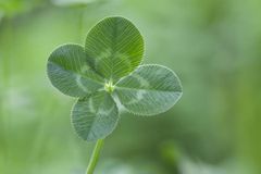 Item thumbnail for item 1e5d22d4-35f1-4724-a08b-e3270de5a2cd