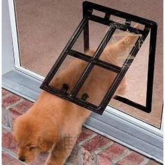 Item thumbnail for item 239db20b-14e9-4aaf-bd5a-d3166b542abd