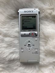 Item thumbnail for item d890d643-455d-4cfb-9473-5f498ee12e23