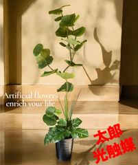 光触媒　人工観葉植物　ウォールグリーン　フェイクグリーン　シンピジューム6765 光触媒 人工観葉植物 ウォールグリーン フェイクグリーン