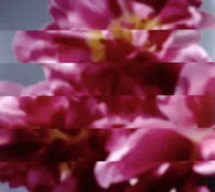 【中古】邦楽CD MONDO GROSSO / 何度でも新しく生まれる[DVD付]