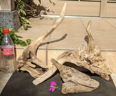 Item thumbnail for item 2f92ffe8-6b2f-439c-bef3-e789eb83ed63