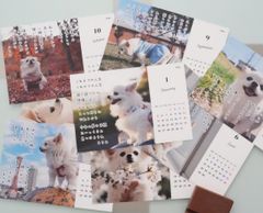 Item thumbnail for item 00b4c8d2-b665-4d5c-8c5a-03c9e57b12c5