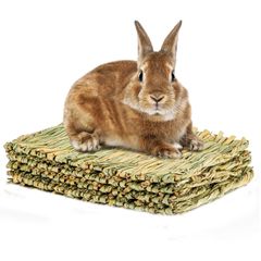 Item thumbnail for item c91c9ce1-7cd3-4e3b-b634-e16c4e99939e