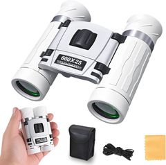 Item thumbnail for item a1ef93b1-c38d-4d3d-a408-fa22a9de429d