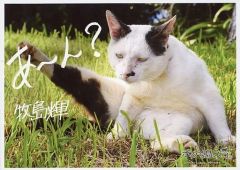 Item thumbnail for item 982a2eaa-67ef-457c-86a5-77e201bdcd9f