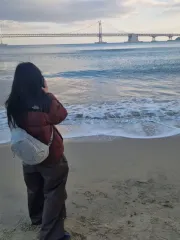 THE NORTH FACE ザノースフェイス ブラウン ダウン