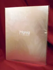 Snow Man 21年Mania パンフレット