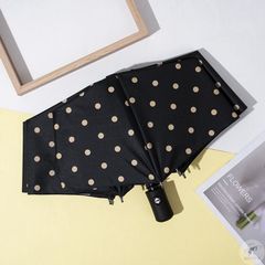 Item thumbnail for item 2cadd711-f333-405c-ba47-33ee4c4aee2c