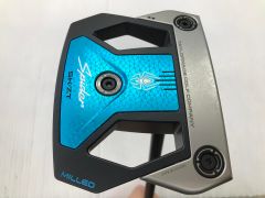 Item thumbnail for item 852ca147-0558-4726-95f1-05e366f2c3dc