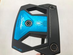 Item thumbnail for item 8bd9cb22-70f7-4e21-adfa-ebea0a78ea85