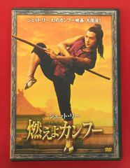 燃えよ ! カンフー 2ndシーズン DVDコレクターズBOX 〈8枚組〉 - メルカリ