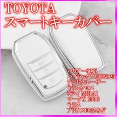 Item thumbnail for item 6f8790ea-a719-4ceb-a080-eaba3c297c84