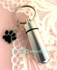 Item thumbnail for item 08c7a07f-5362-4587-8abe-d446d3dfa0b3