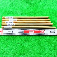 Item thumbnail for item 81315c41-20a9-4410-bb6d-b9bf2c7d3494