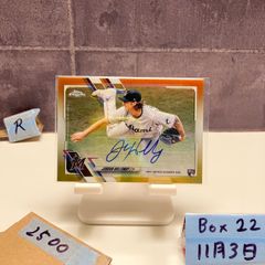 Item thumbnail for item 196bbadd-3d52-488a-a442-3ac49e383198