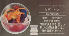リーメント テラリウムコレクション 15 ポケットモンスター リザードン 5