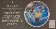 リーメント テラリウムコレクション 15 ポケットモンスター カメックス 6