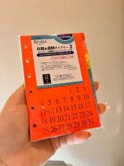 Bindex NOLTY 놀티 Tシャツ