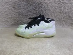 260 NIKE ザイオン 3 pf バスケシューズ 中古