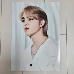 SEVENTEEN(セブンティーン・セブチ) エスクプス(S.COUPS・スンチョル) BE THE SUN(ビザサン) ポスター コンサート md