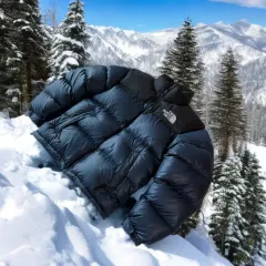 THE NORTH FACE ザノースフェイス ヌプシ あんさんぶるスターズ！！(あんスタ) ボール ネイビー 700フィル M サイズ