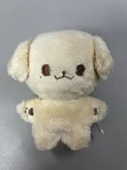 NCT(エヌシーティー) ドリーム ジェノ(JENO) 10cm ぬいぐるみ ジェノ ぬいぐるみ ぬい 出品