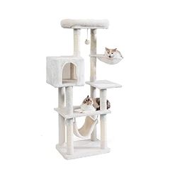 Item thumbnail for item 5405eaa8-f7ab-4c69-aecf-a1781fbbc2d7