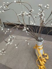 ナンキンハゼ。ナンキンハゼの実。13本。ドライフラワー。スワッグ