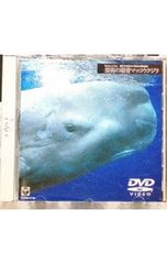 Item thumbnail for item 69765c19-c5ed-46f8-b8f3-62766e3028a3