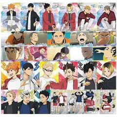 ハイキュー!! ウエハース5 × 全29種セット ウエハース コンプリート キャラクターカード 描き下ろし ビジュアル カード 食玩