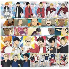 ハイキュー!! ウエハース5 × 16種セット (1-16) ウエハース キャラクターカード 描き下ろし ビジュアル カード 食玩
