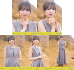 【中古】生写真(乃木坂46) ◇乃木坂46/菅原咲月/「Same numbers MV 選抜ver.」WebShop 限定個別生写真 5種コンプリートセット