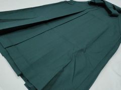 Item thumbnail for item 293da5e0-1579-41e4-8496-61930d974bd3