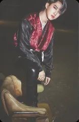 Stray Kids Changbin IN生 LIMITED トレーディングカード