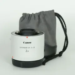 Canon キヤノン EXTENDER EF2X III【美品】ケース付き Canon キヤノン EXTENDER EF2X III テレコンバーター エクステンダー