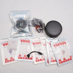 F*E様 【希少品】音茶楽 Flat4-欅Plus ハイレゾ対応 カナル型ヘッド