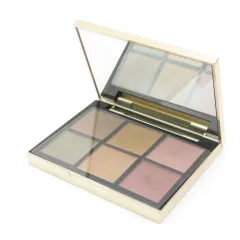 美品 SNIDEL スナイデル アイデザイナー アイカラー 10.2g 07 Delicate 残量多 BC3580Z