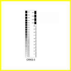 Item thumbnail for item 5e567645-06fc-4296-b52f-fc7ff98c7987