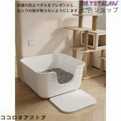 Item thumbnail for item 44ed7093-200e-4e2f-bc16-8dac14f0e459