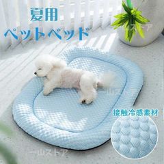 Item thumbnail for item 53c71b66-7aa6-4d7a-9e33-c1ec491baeca