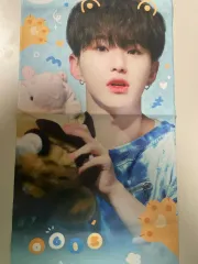 SEVENTEEN(セブンティーン・セブチ) ホシ 反射スローガン 出品 トレカ ジョンハン(JEONGHAN) ウォヌ(WONWOO) ミンギュ(MINGYU) コンサート