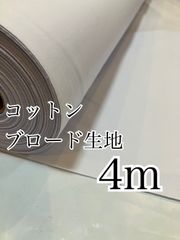 Item thumbnail for item 156aa830-a478-4084-bd4f-225574da6f96