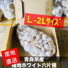 青⁍産 乾燥にんにく 500g 福地ホワイト六片 大粒 - メルカリ