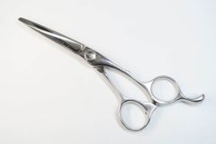 Item thumbnail for item 26f6131b-3550-4ced-8782-78865d449cac